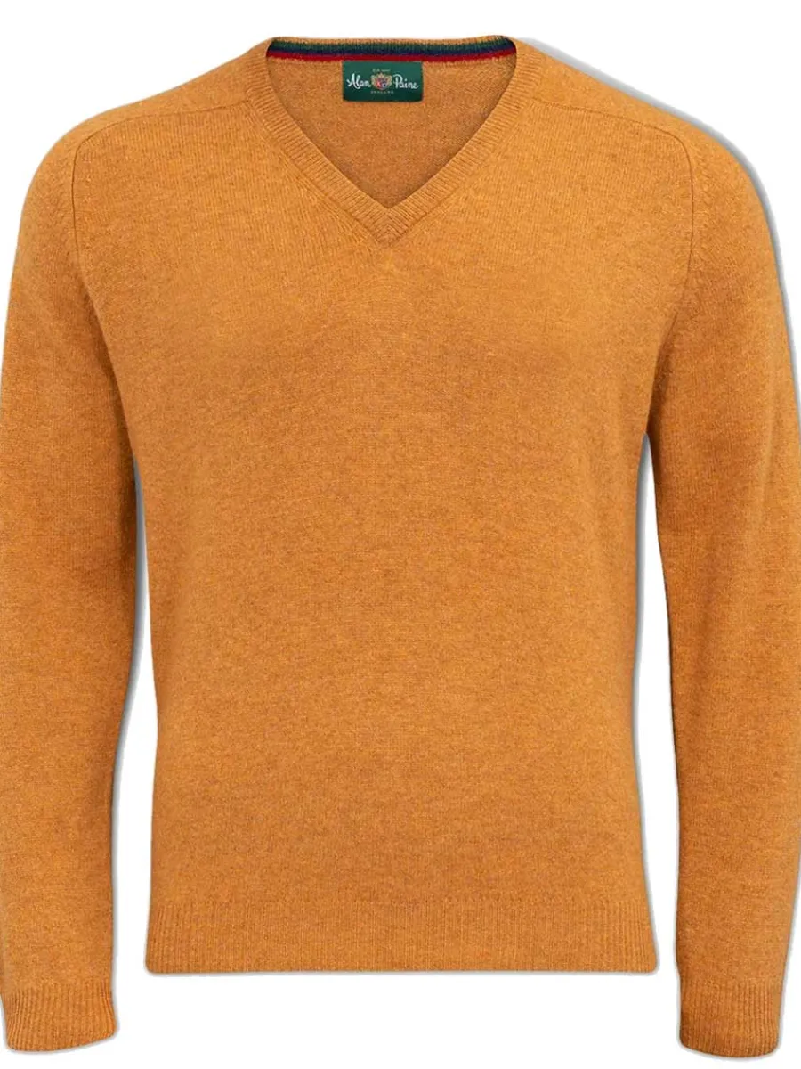 Alan Paine Streetly Men's V Neck Lambswool Jumper -