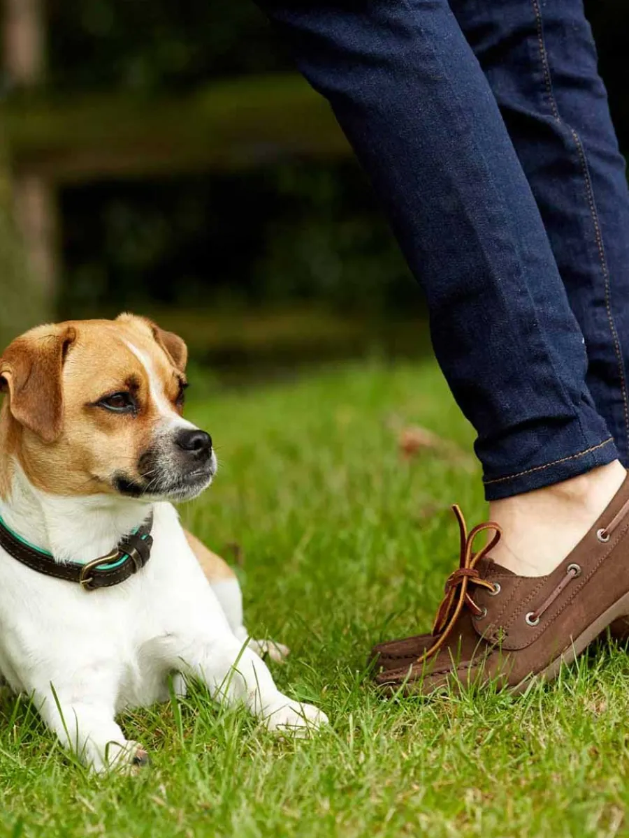 Women Ariat Antigua Deck Shoes - Womens -