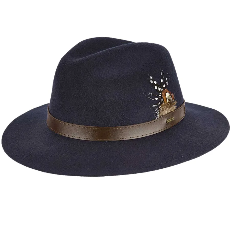 Women Dubarry Gallagher Feather Trimmed Felt Fedora Hat -