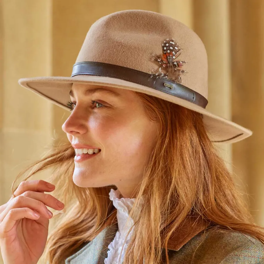 Women Dubarry Gallagher Feather Trimmed Felt Fedora Hat -