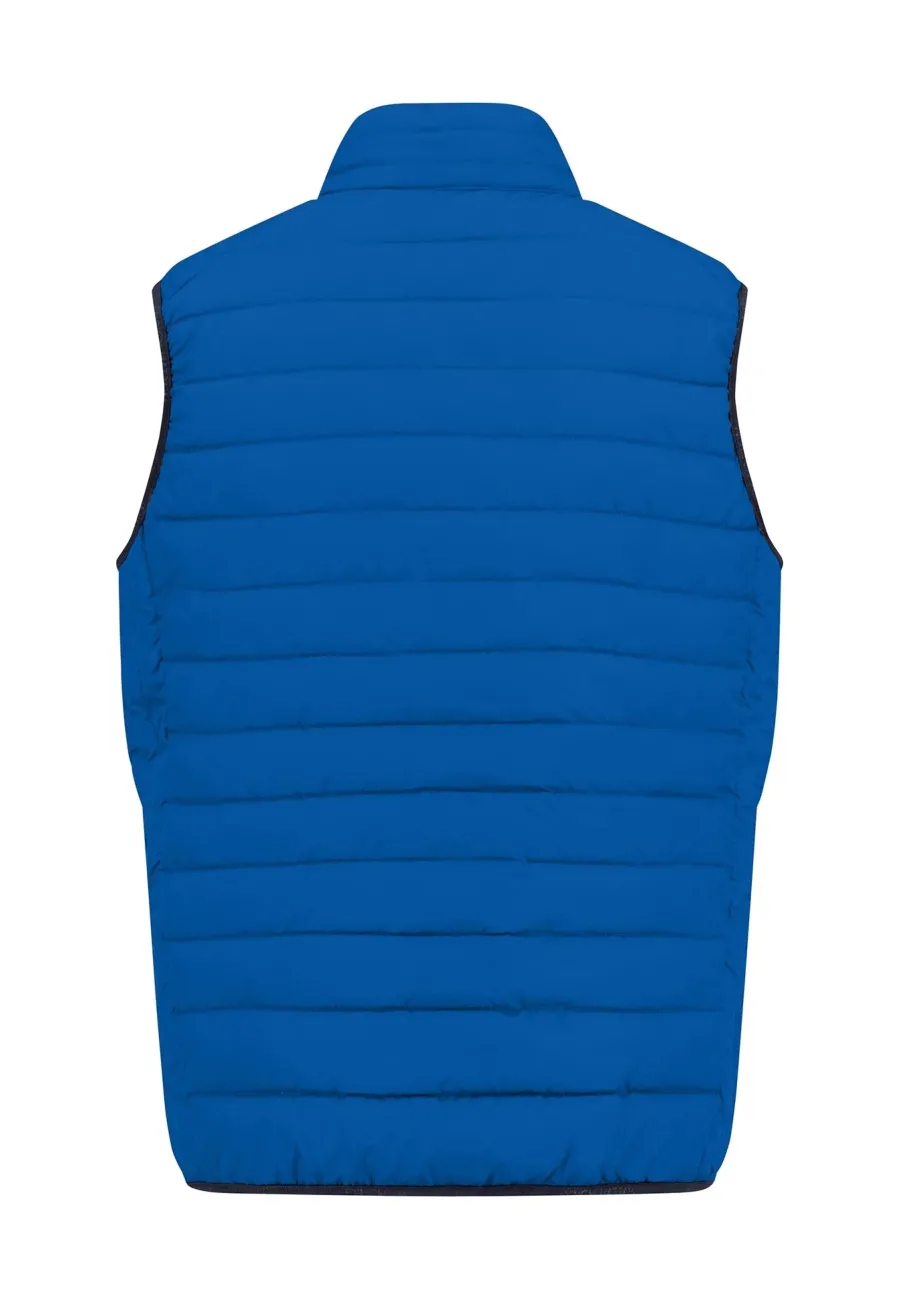 fynch_hatton_quilted_gile_3-1.webp Fynch Hatton Quilted Gilet - Men's – Strong Blue