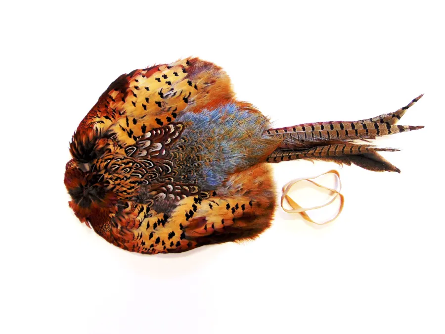 Sporting Saint Cock Pheasant Pelt Dummy