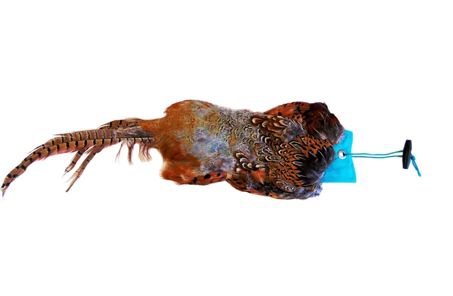 Sporting Saint Cock Pheasant Pelt Dummy
