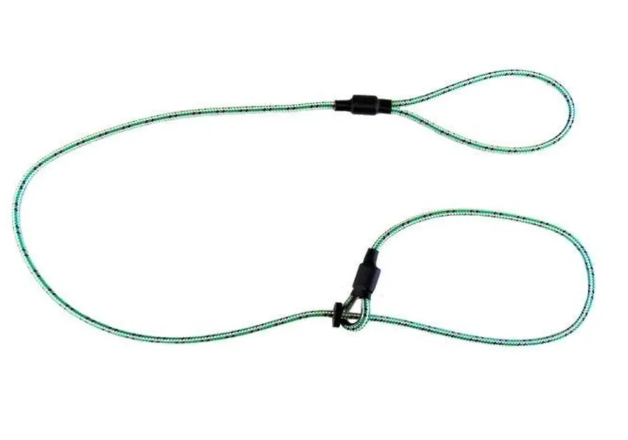 Sporting Saint Field Trial Pro Slip Lead